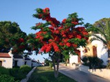 acapulco_resort_kibris (2)
