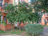akdeniz_beach_hotel (27)