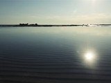 arkin_palm_beach_kibris (33)