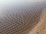 arkin_palm_beach_kibris (34)