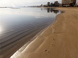 arkin_palm_beach_kibris (35)