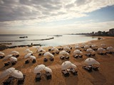 arkin_palm_beach_kibris (39)