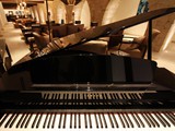 arkin_palm_beach_kibris (5)