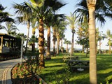kirman_arycanda_deluxe (9)