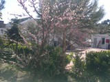 ayvalik_beach_hotel (18)