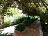 belcekiz_beach_resort (8)