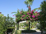 bella_resort_side (24)