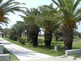 bella_resort_side (25)