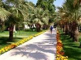 Boran_Mare_Beach (28)