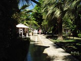 Boran_Mare_Beach (49)