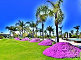calista_luxury_resort (11)