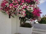 ceshme_plus_hotel (18)