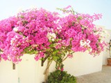 ceshme_plus_hotel (36)