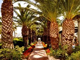 club_asteria_belek (18)