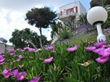 club_datca_tatil_koyu (1)
