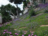 club_datca_tatil_koyu (5)
