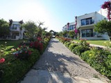 club_datca_tatil_koyu (5)