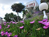 club_datca_tatil_koyu (6)