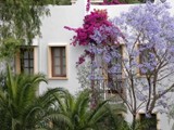 club_hotel_flora (6)