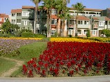 club_mega_saray (14)