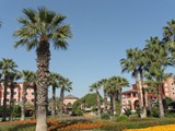 club_mega_saray (7)