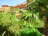 club_side_coast (14)