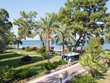 crystal_aura_beach (26)