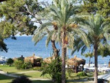 crystal_aura_beach (33)