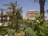 crystal_family_resort (81)