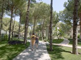 crystal_flora_beach (106)