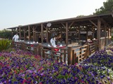 crystal_flora_beach (32)