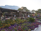 crystal_flora_beach (33)