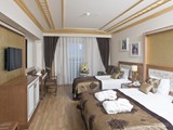 Crystal_Palace_Luxury (31)