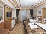 Crystal_Palace_Luxury (32)