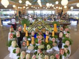 crystal_paraiso_verde (55)