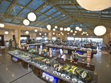 crystal_paraiso_verde (56)