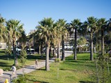crystal_tat_beach (25)