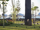 crystal_tat_beach (76)