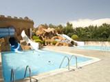 Delphin_Deluxe (2)