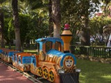Delphin_Deluxe (3)