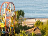 Delphin_Deluxe (4)
