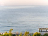 Delphin_Deluxe (8)