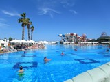 Delphin_İmperial_lara (23)
