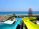 Delphin_İmperial_lara (51)