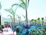delta_beach_hotel (40)