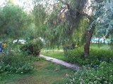 dogan_paradise_ozdere (26)