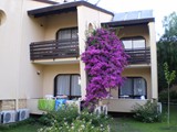 dogan_paradise_ozdere (5)