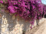 family_belvedere_hotel (45)