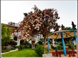 family_belvedere_hotel (53)