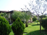 felicia_village_side (10)